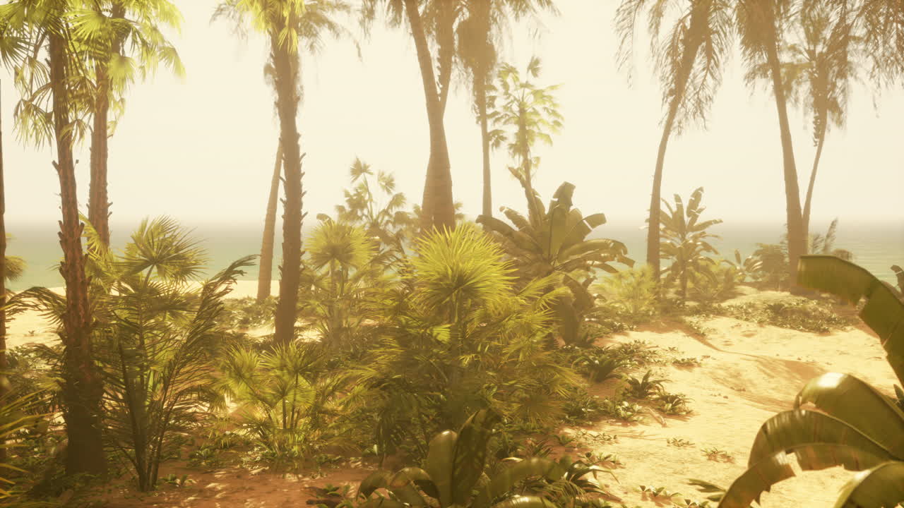 playa tropical con palmeras y océano