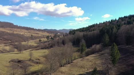 Aerial-shot-of-valleys-and-mountains-with-trees-in-Slovenia