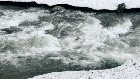 río espumoso y nieve en invierno. corriente rápida con rápidos sobre fondo nevado.