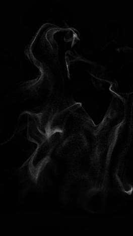 ethereal particle forms on black background