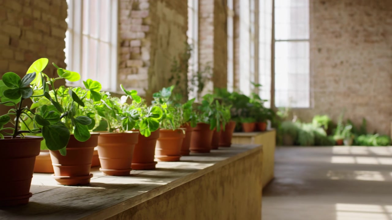 Slow lateral movement brings foreground potted greenery closer while repeating terracotta planters recede toward bright windows, exposed brick walls, and softly blurred plants in warm daylight.