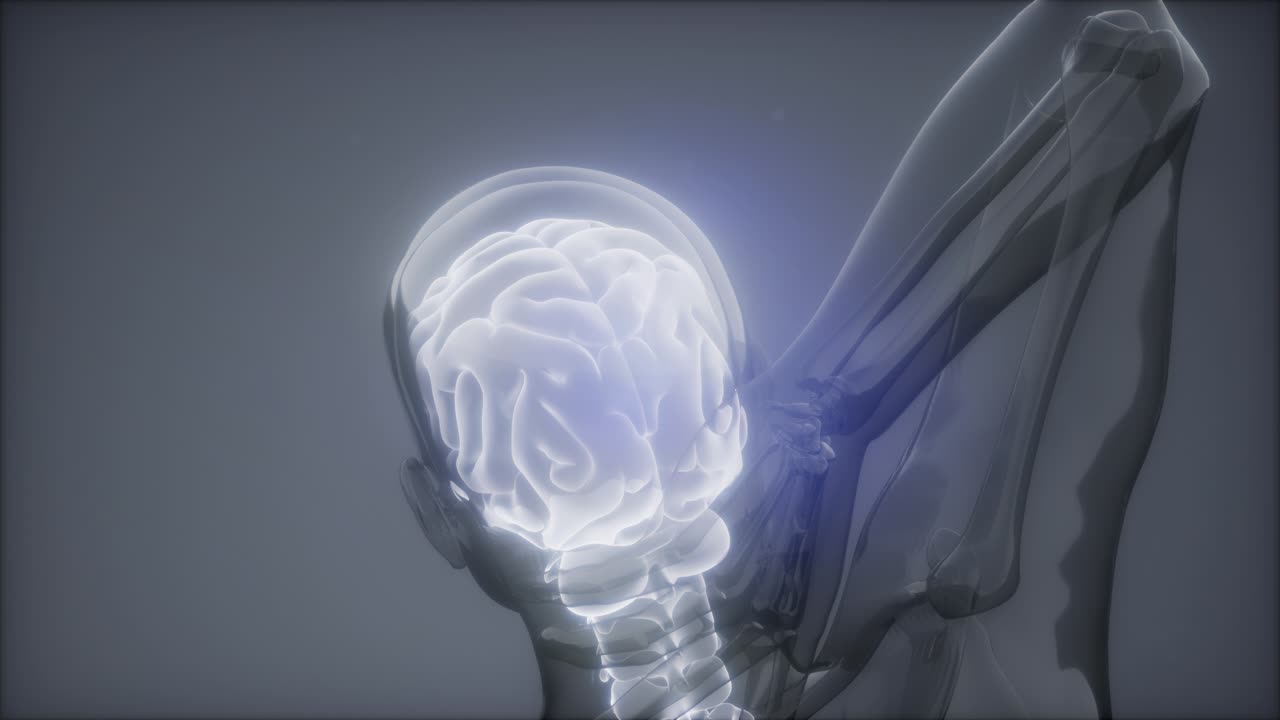 허리  ⁇ 에 허리 통증