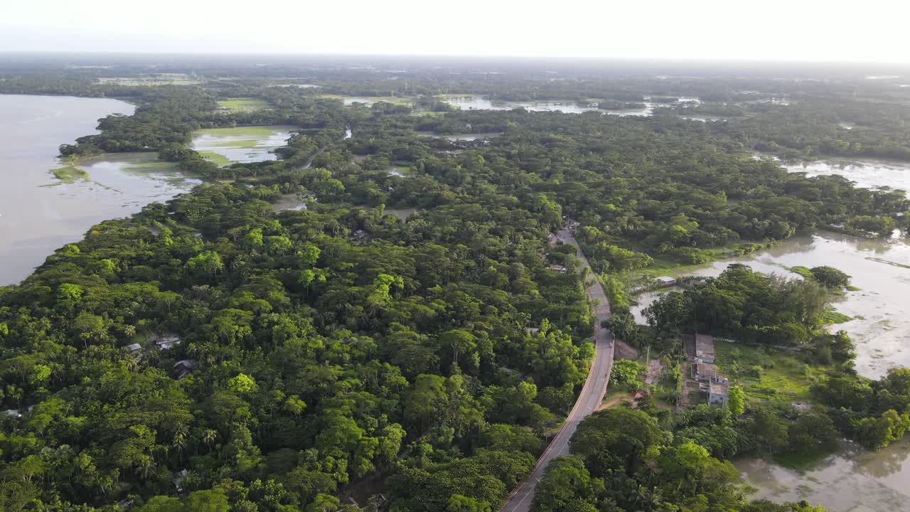 volando sobre bosques tropicales y campos inundados debido al cambio climático con un camino que lo atraviesa