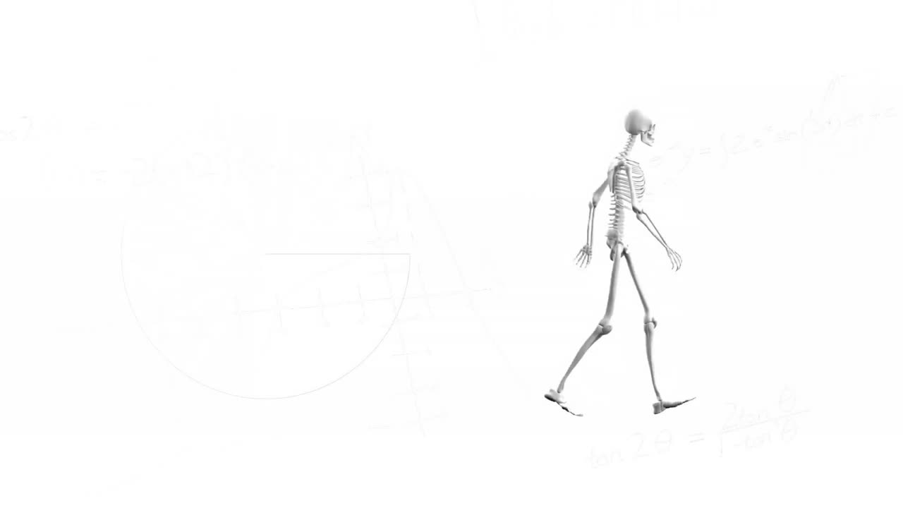 animación de un esqueleto caminando sobre un fondo blanco