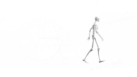 animation of skeleton walking on white background