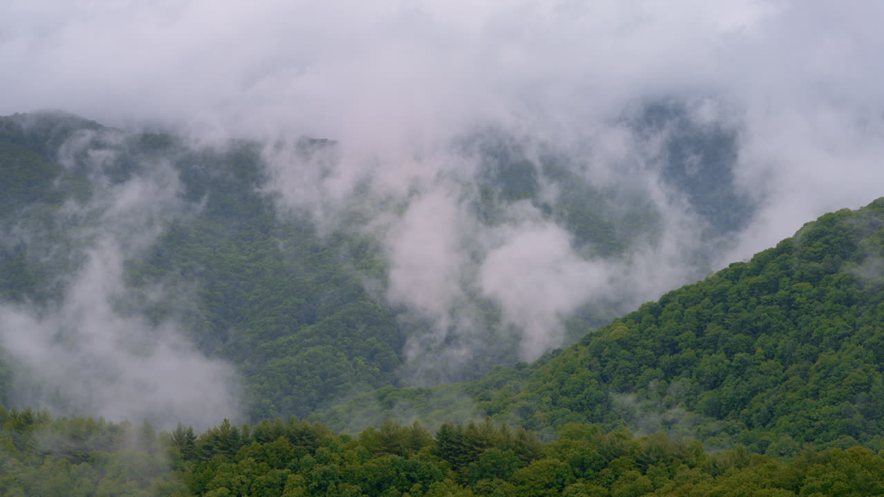 Drone floats above silent, foggy Smoky mountain terrain
