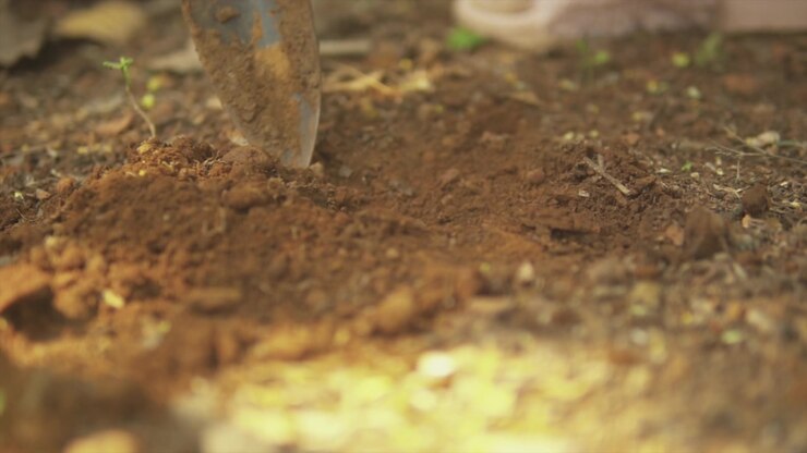 Paletta da giardinaggio scava nel terreno, slow motion cinematografico, ripresa macro
