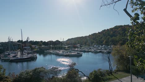 drone shot of a park that looks like an island with boats near a forest on a clear sunny day