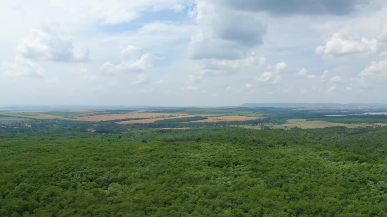 Drone aerial reveal a landscape with forest and field on a sunny summer day