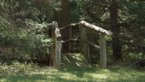 un primer plano de un puente de madera en un bosque de pinos