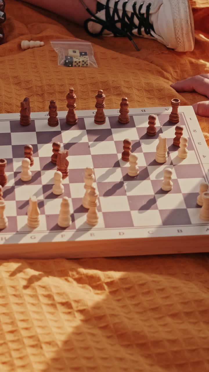 Friends Playing Chess at a Picnic