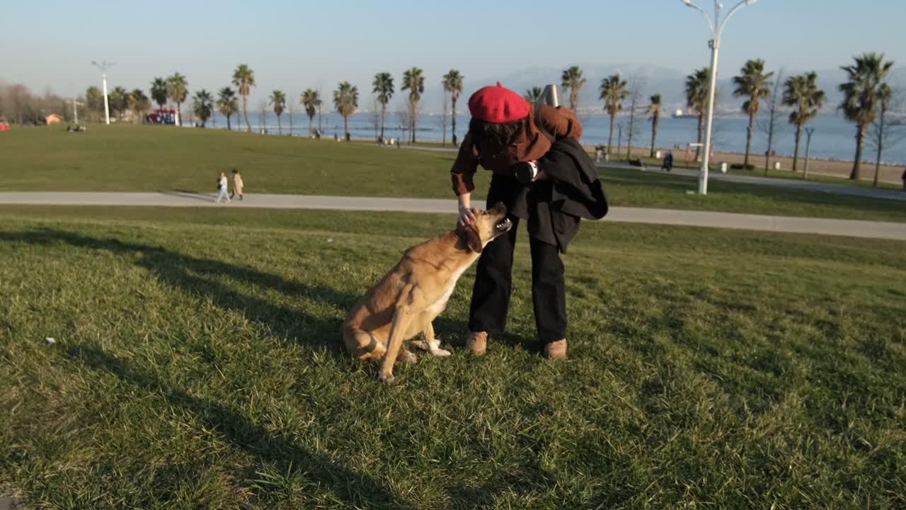 방황하는 개와 놀아라