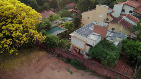 Sobrevuelo-De-Un-Exuberante-árbol-Amarillo-Hacia-El-Patio-Trasero-De-Un-Edificio-Residencial,-Movimiento-Inclinado-Hacia-Abajo