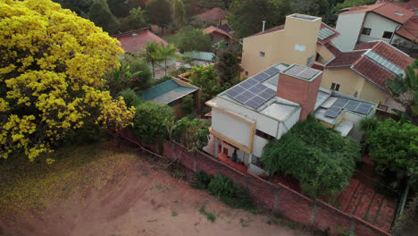 sobrevuelo de un exuberante árbol amarillo hacia el patio trasero de un edificio residencial, movimiento inclinado hacia abajo