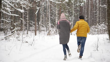 a young and beautiful couple is having fun in the park, running and holding hands. valentine's day and love story concept. winter season.