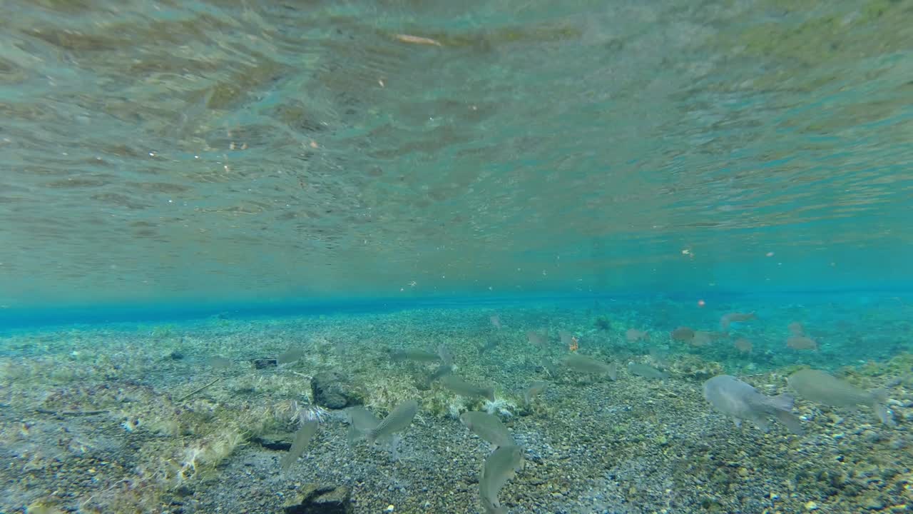pescar bajo el arroyo. en el parque de la isla