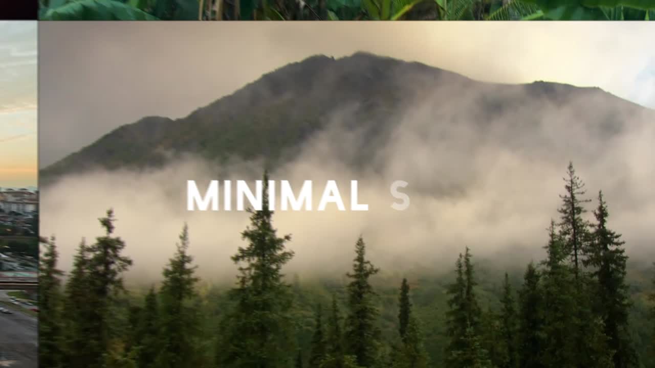 Nature Scenes and Kittens