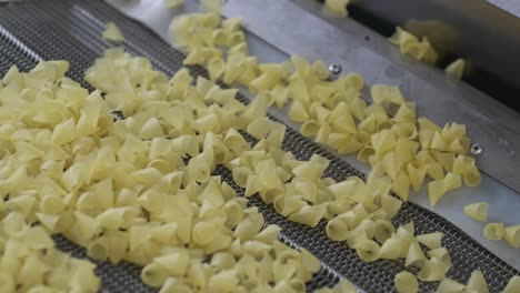 production factory line moves potato snackes. production line of the pasta factory, pasta production