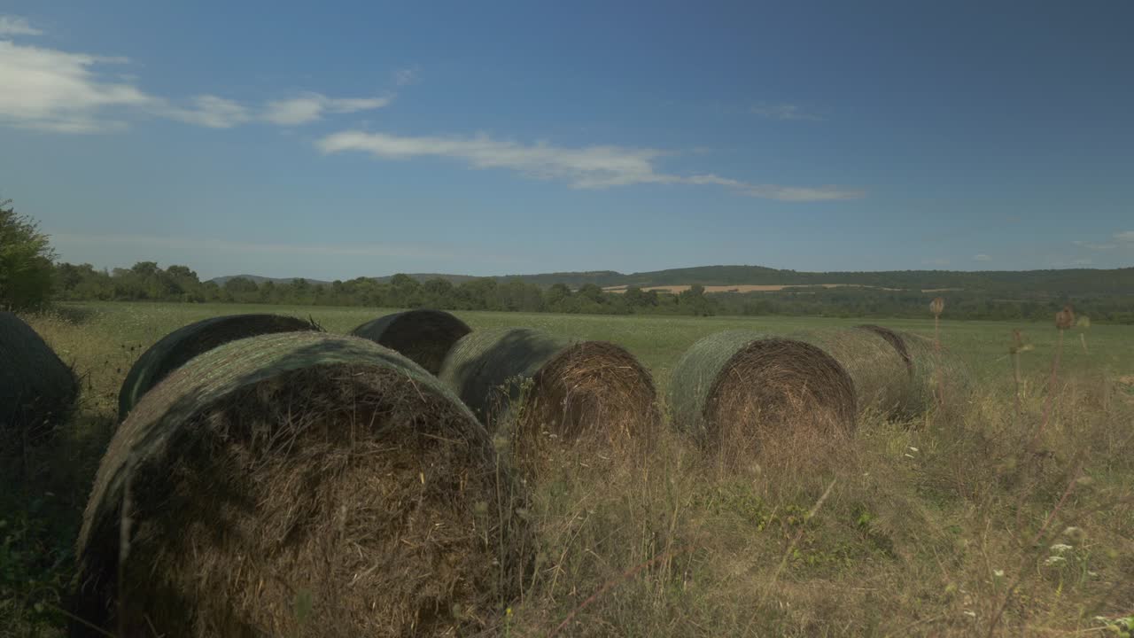 Bales of hay in corner of farmland crop field in summer countryside scene