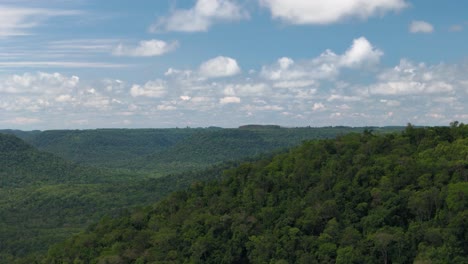 image of a drone advancing over an immense tropical rainforest