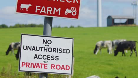a warning sign marks a private farm road, with black and white cows grazing in a green field under daylight. slight camera movement reveals rural landscape