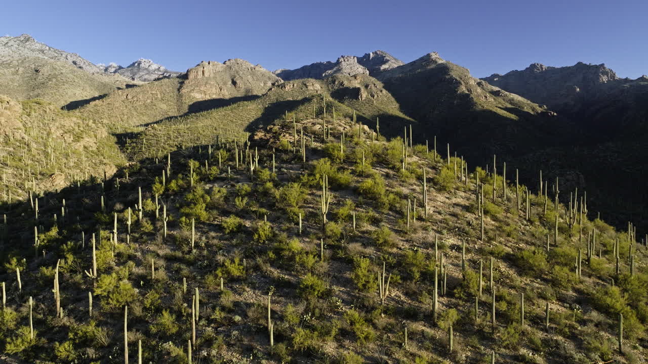 imágenes de drones montañosos con cactus