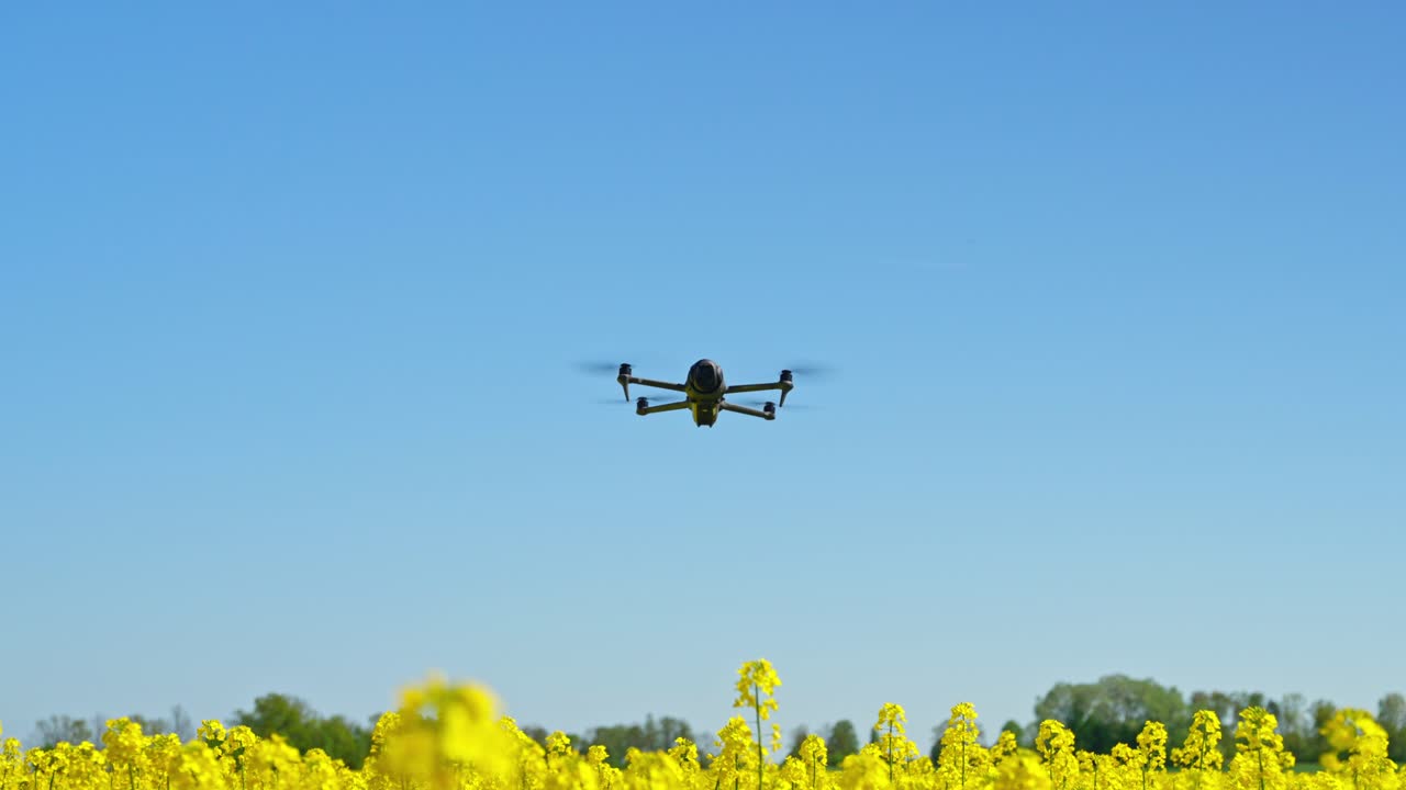Drone flying over a yellow flower field on a sunny day, peaceful and futuristic vibe