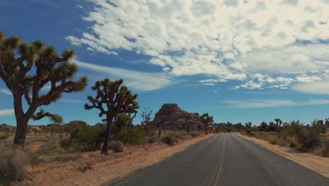 Driving-through-Joshua-Tree-National-Park-in-California,-USA