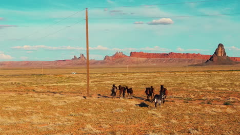 drohnenansicht von wildpferden, die in der wildnis von arizona laufen