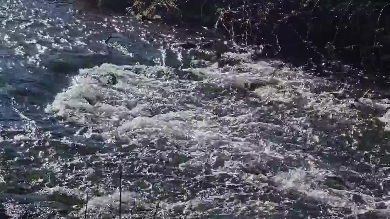 Primo piano di un potente torrente di montagna che scorre rapidamente, creando schiuma e scintillando al sole