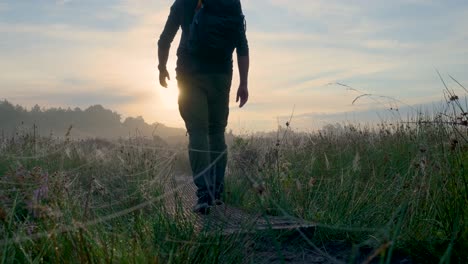 sunrise hike through misty woods