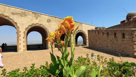 people walking by flowers and historic arches