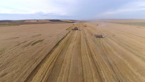 aerial view of harvest in field