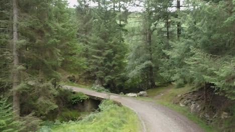 Aerial-upwards-revealing-lush-forest-pathway-from-Wicklow-Mountains-National-Park,-Ireland