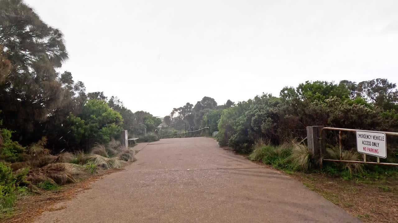 울창한 초록색과 해안 풍경을 가로질러 가는 길