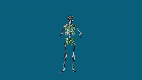 Phone-talking-skeleton-and-walking-