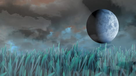 view of beautiful landscape with grass, moon and clouds in the sky