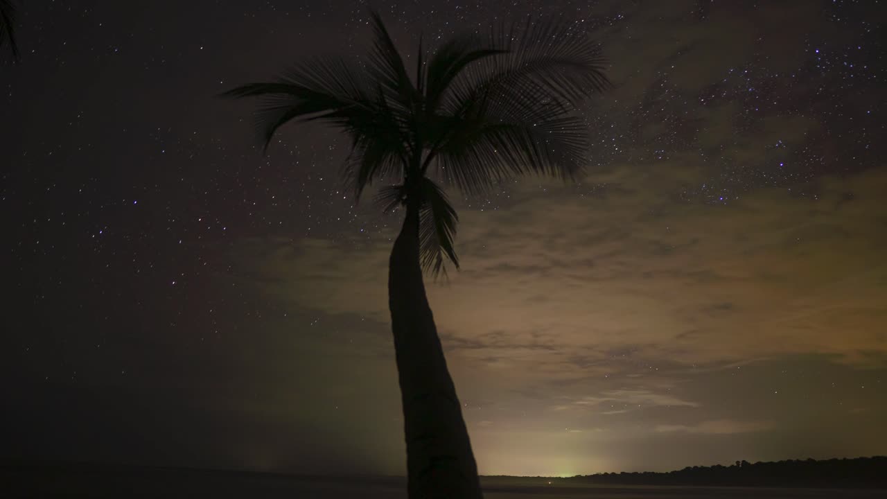 Starry Beach Timelapse – Palm Tree Silhouette
