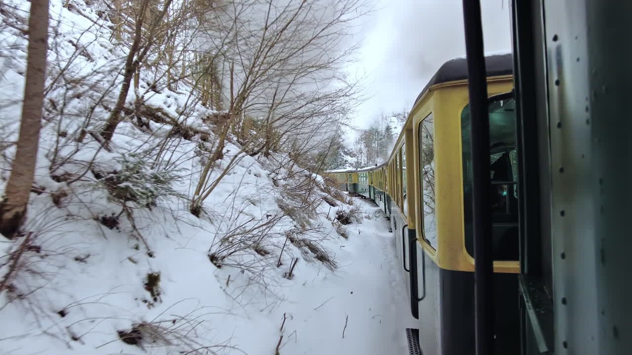 Vista interna del treno a vapore in movimento Mocanita, pendio collinare con foresta spoglia in inverno, neve, Romania