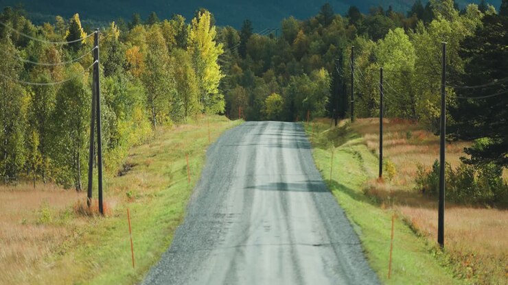 Stretta strada rurale sterrata nel paesaggio autunnale