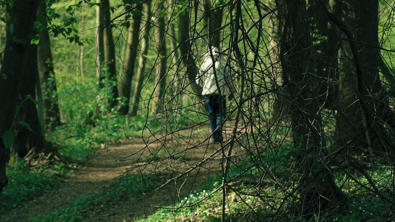 A beekeeper wearing beekeeping clothes and a hat goes along a forest road between the trees, a forest trail between green plants