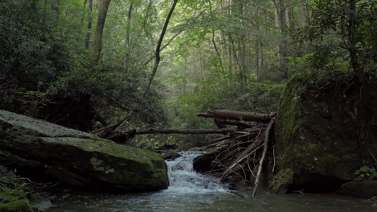 tranquila pequeña cascada balbuceando en un exuberante bosque arbolado en medio de piedras, 4k
