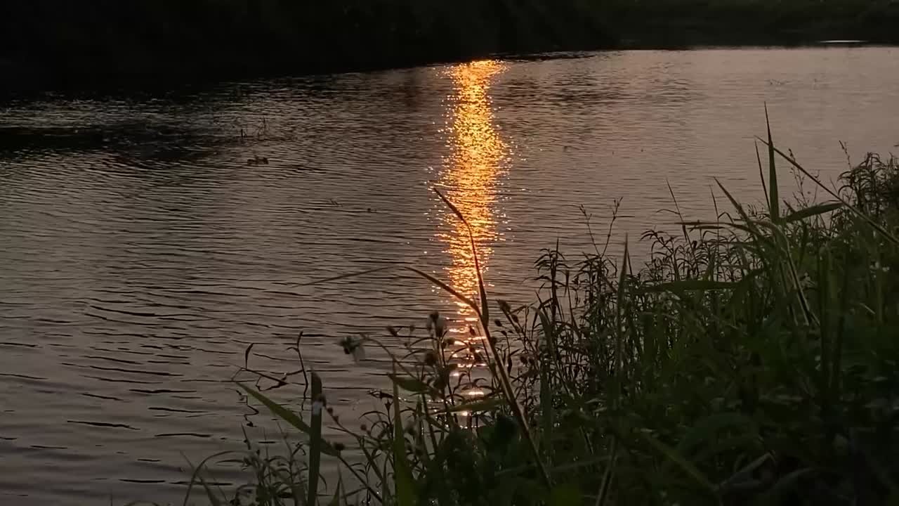 Golden hour sunset with shimmering water reflections and calm water.