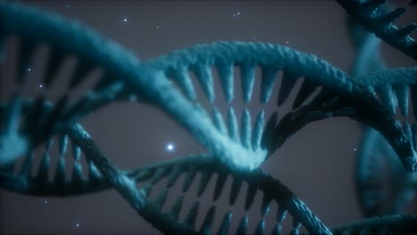 double helical structure of dna strand close-up animation