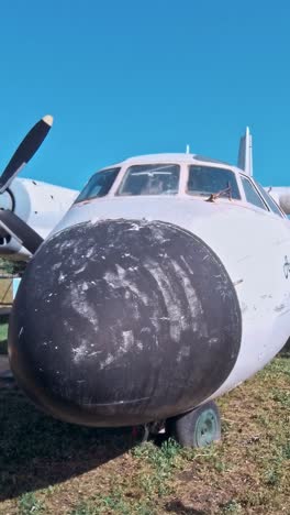 the plane in the open air museum