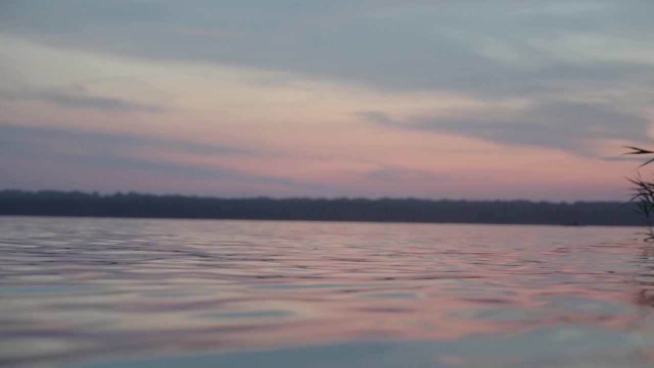 Un'inquadratura suggestiva dal basso cattura leggere increspature sulla superficie di un lago calmo che riflette delicati colori rosa pastello e dorati di un cielo al tramonto tranquillo, con una scura linea di alberi all'orizzonte lontano.
