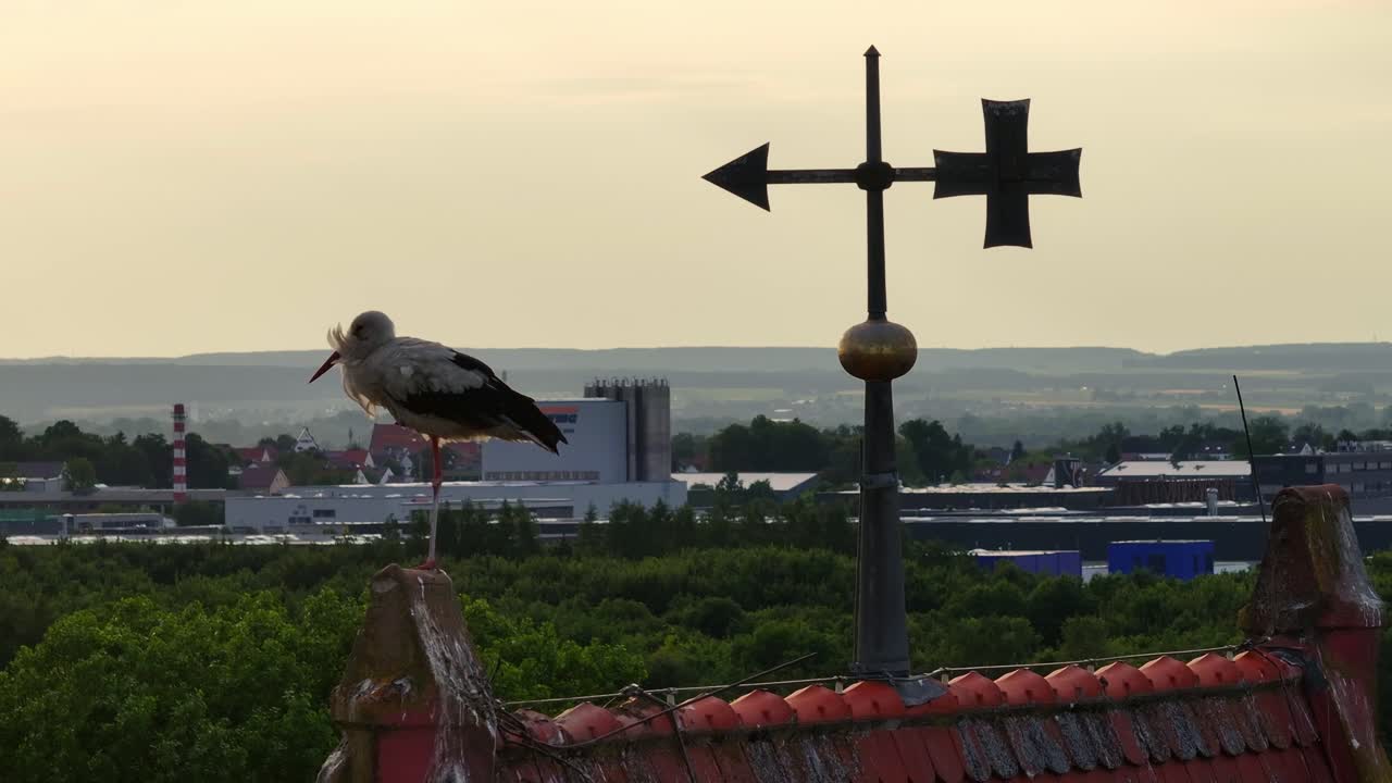 Una cicogna si posa su una banderuola sul tetto che si affaccia su una zona industriale al tramonto