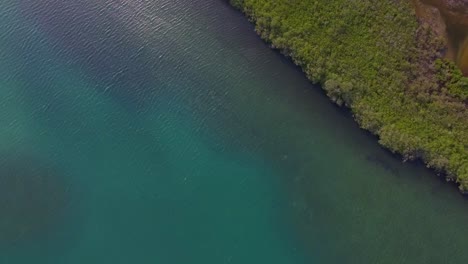 Von-Der-Draufsicht-Einer-Mangrovenküste-In-Der-Venezolanischen-Karibik
