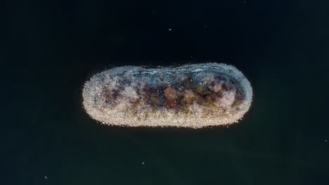 Schneebedeckte-Insel-Mit-Fliegenden-Vögeln-Im-Czorsztynsee,-Malopolska,-Polen,-Europa