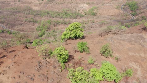 Birds-eye-view-of-a-cliff-with-Trees